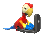 parrot typing